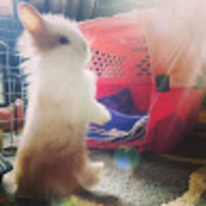 Meet your Posher, Jemma